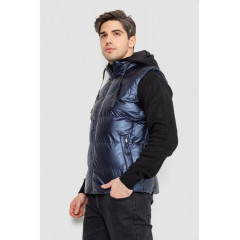 Жилетка мужская демисезонная, цвет темно-синий, 244R99012.
