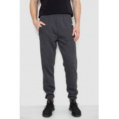 Спортивные брюки мужские на флисе, цвет черный, 244R41299