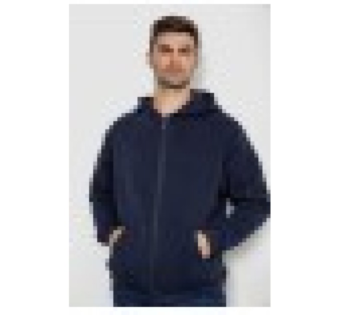 Кофта мужская на флисе с капюшоном, цвет серый, 244R2493.