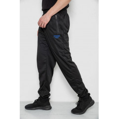 Спортивные брюки мужские, цвет черный, 244R4692.