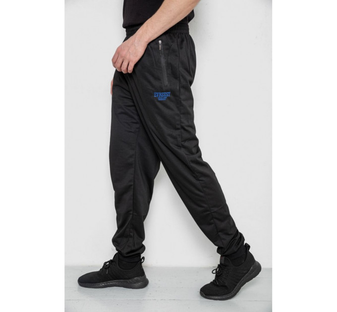 Спортивные брюки мужские, цвет черный, 244R4692.