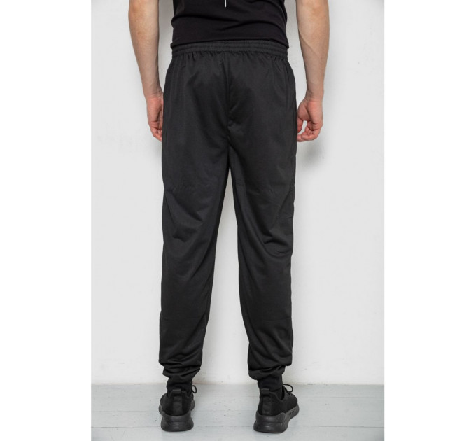 Спортивные брюки мужские, цвет черный, 244R4692.