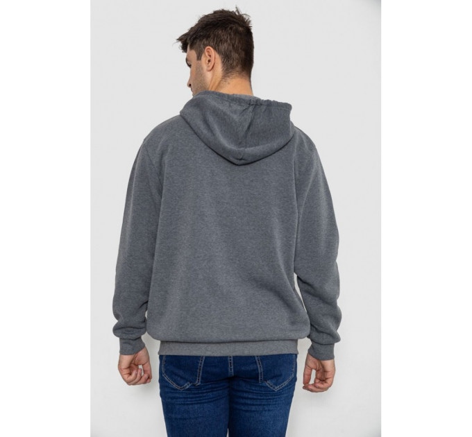 Кофта мужская на флисе с капюшоном, цвет серый, 244R2493.
