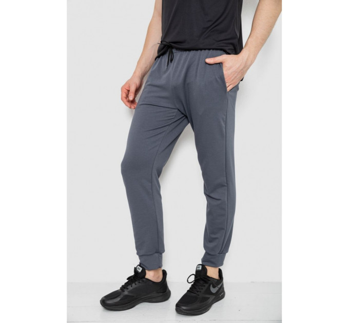 Спортивные штаны мужские демисезонные, цвет серый, 241R0652