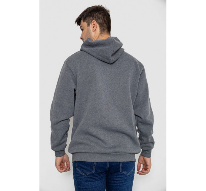 Кофта мужская на флисе с капюшоном 244R2563, цвет Серый