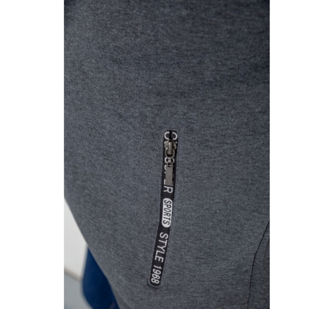 Кофта мужская на флисе с капюшоном 244R2563, цвет Серый