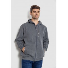 Кофта мужская на флисе с капюшоном 244R2563, цвет Черный