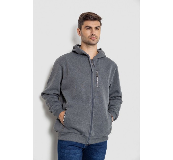 Кофта мужская на флисе с капюшоном 244R2563, цвет Серый