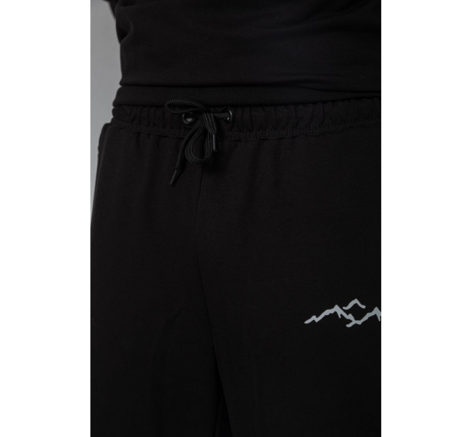 Спортивный мужской демисезонный костюм, цвет черный, 241R176