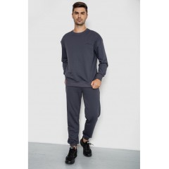 Спортивний чоловічий демісезонний костюм, колір сірий, 241R176-1