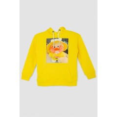 Худи десткий на флисе с принтом, цвет желтый, 102R1525