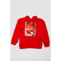 Худи десткий на флисе с принтом, цвет красный, 102R1525