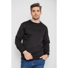 Свитшот мужской утепленный, цвет черный, 242R054
