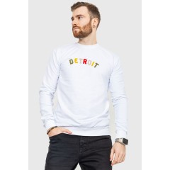 Свитшот мужской демисезонный, цвет белый, 208R0204