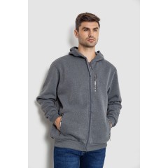 Кофта мужская на флисе с капюшоном 244R2563, цвет Серый