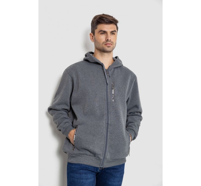 Кофта мужская на флисе с капюшоном 244R2563, цвет Серый