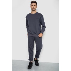 Спорт костюм мужской демисезонный, цвет серый, 241R176-1